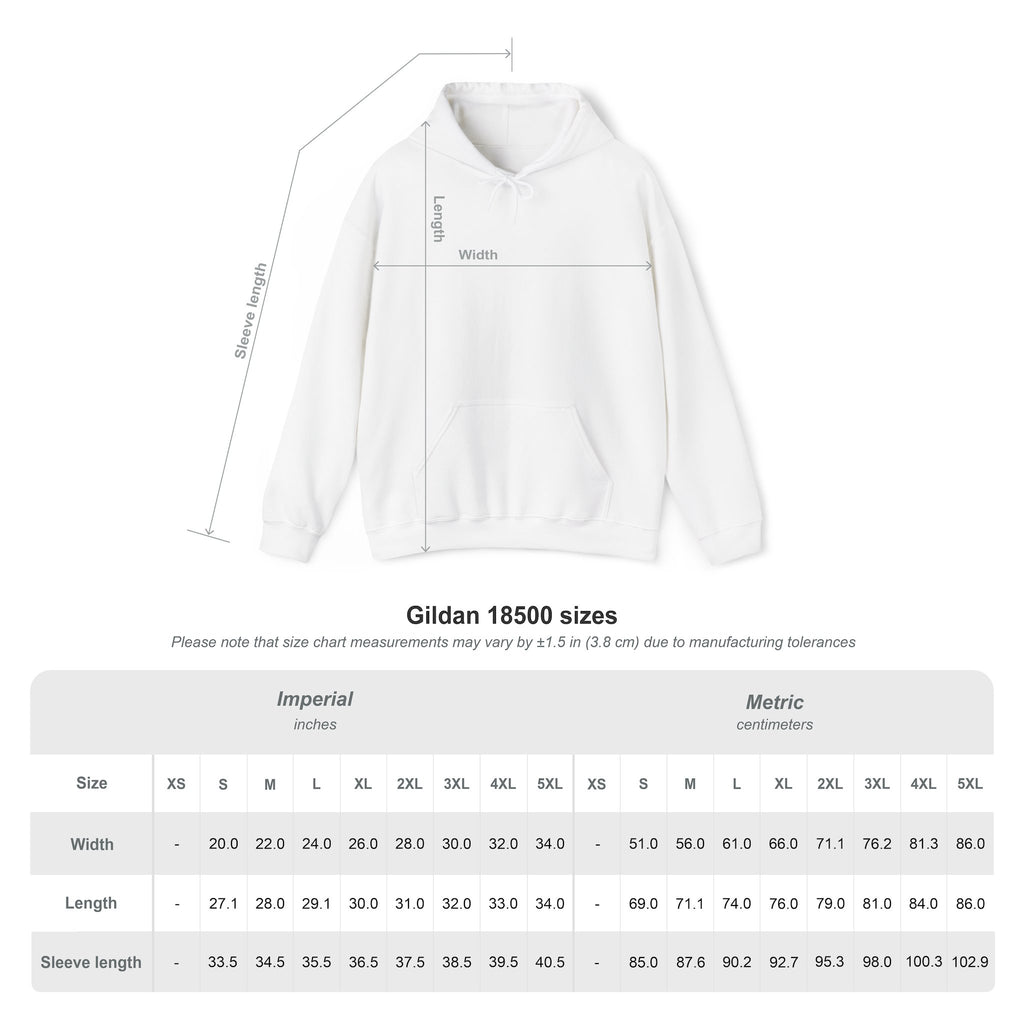 Dove Cloud Hoodie with Jesus Car, John 3:16, Religious Sweatshirt, Christian Clothing, Christian Gift, Cozy Unisex Hoodie