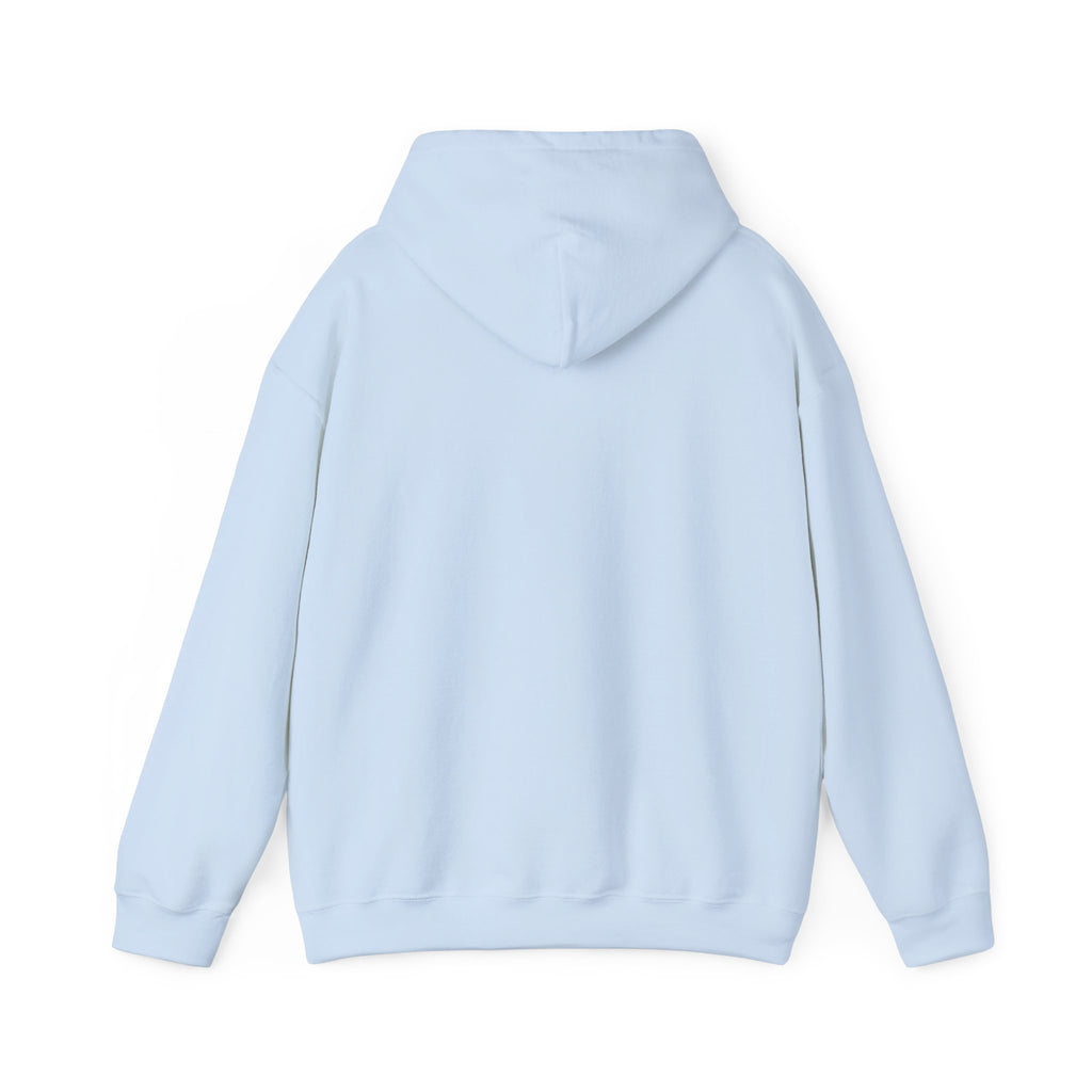 Dove Cloud Hoodie with Jesus Car, John 3:16, Religious Sweatshirt, Christian Clothing, Christian Gift, Cozy Unisex Hoodie