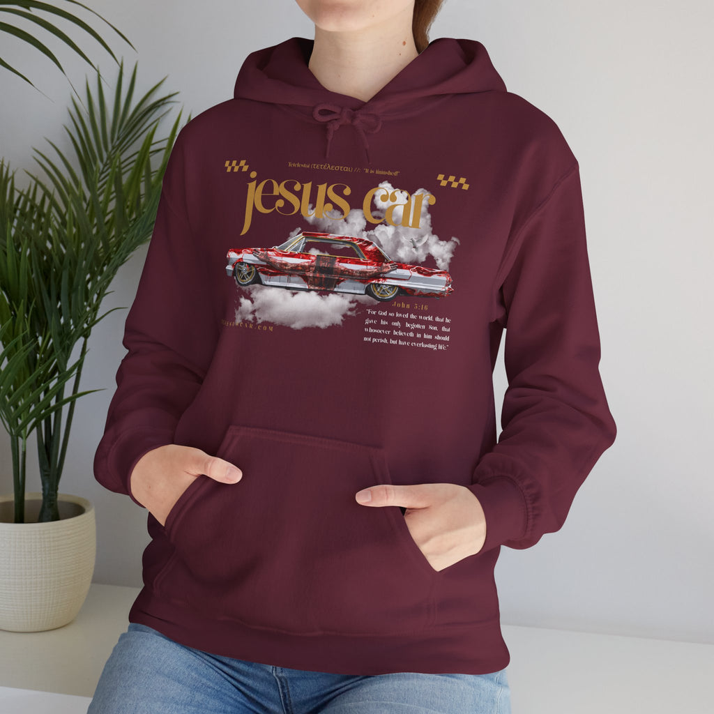 Dove Cloud Hoodie with Jesus Car, John 3:16, Religious Sweatshirt, Christian Clothing, Christian Gift, Cozy Unisex Hoodie
