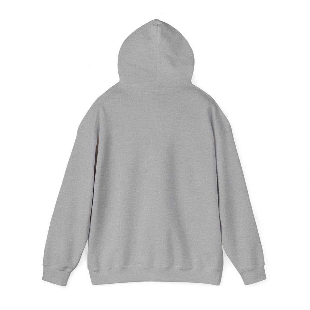 Dove Cloud Hoodie with Jesus Car, John 3:16, Religious Sweatshirt, Christian Clothing, Christian Gift, Cozy Unisex Hoodie
