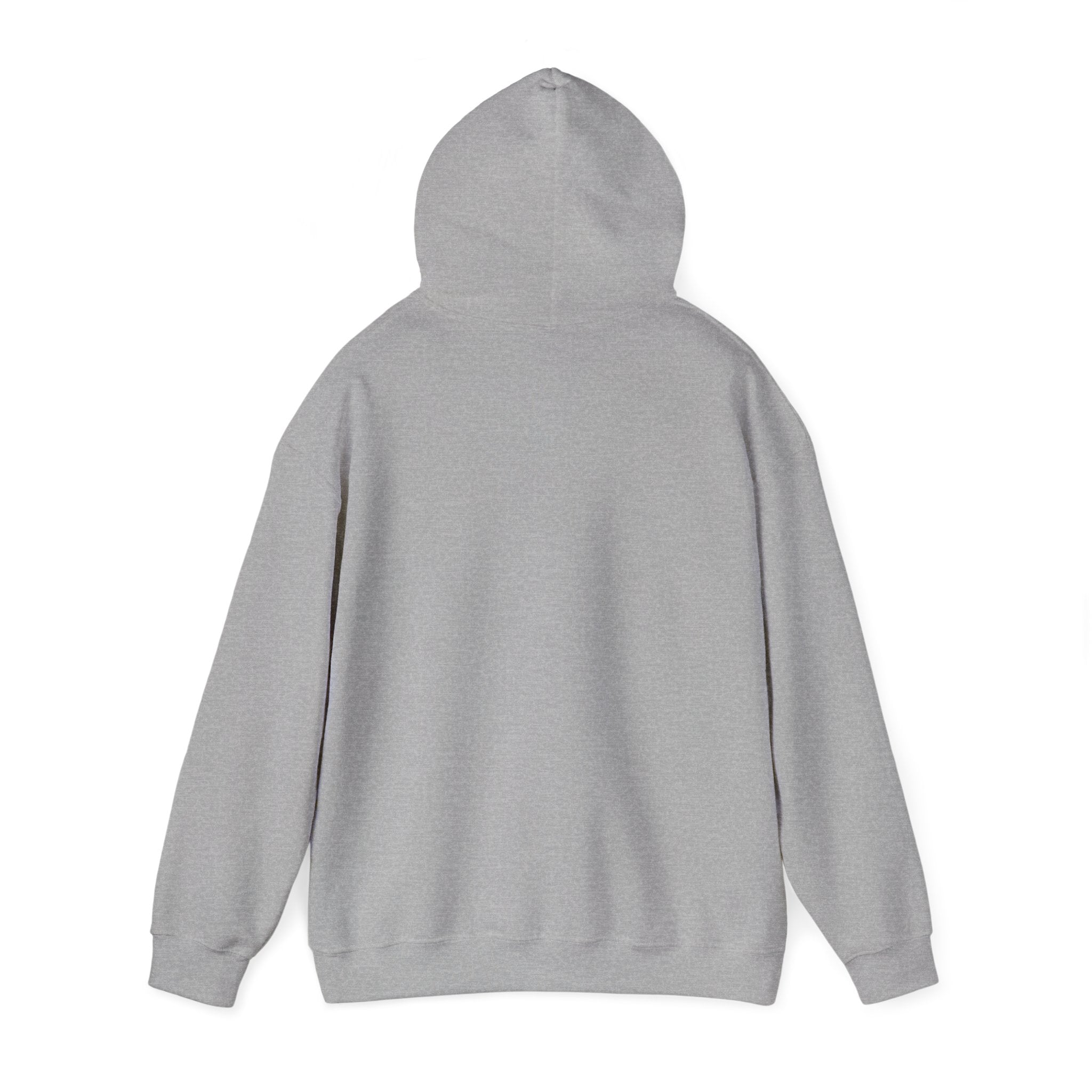 Dove Cloud Hoodie with Jesus Car, John 3:16, Religious Sweatshirt, Christian Clothing, Christian Gift, Cozy Unisex Hoodie