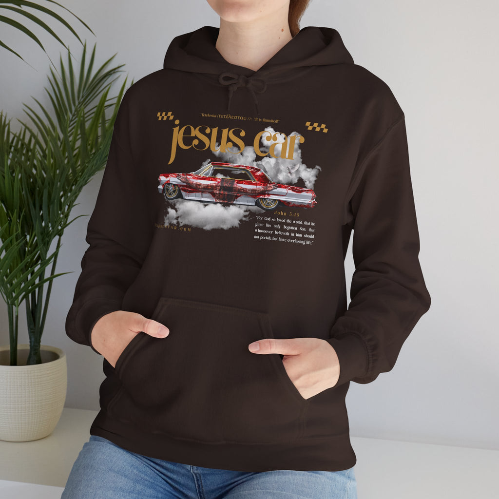 Dove Cloud Hoodie with Jesus Car, John 3:16, Religious Sweatshirt, Christian Clothing, Christian Gift, Cozy Unisex Hoodie