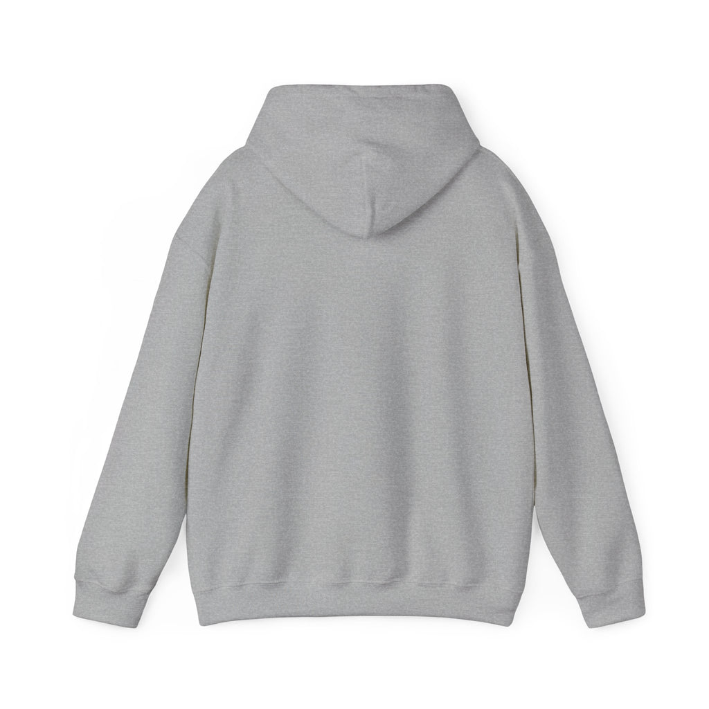 Dove Cloud Hoodie with Jesus Car, John 3:16, Religious Sweatshirt, Christian Clothing, Christian Gift, Cozy Unisex Hoodie