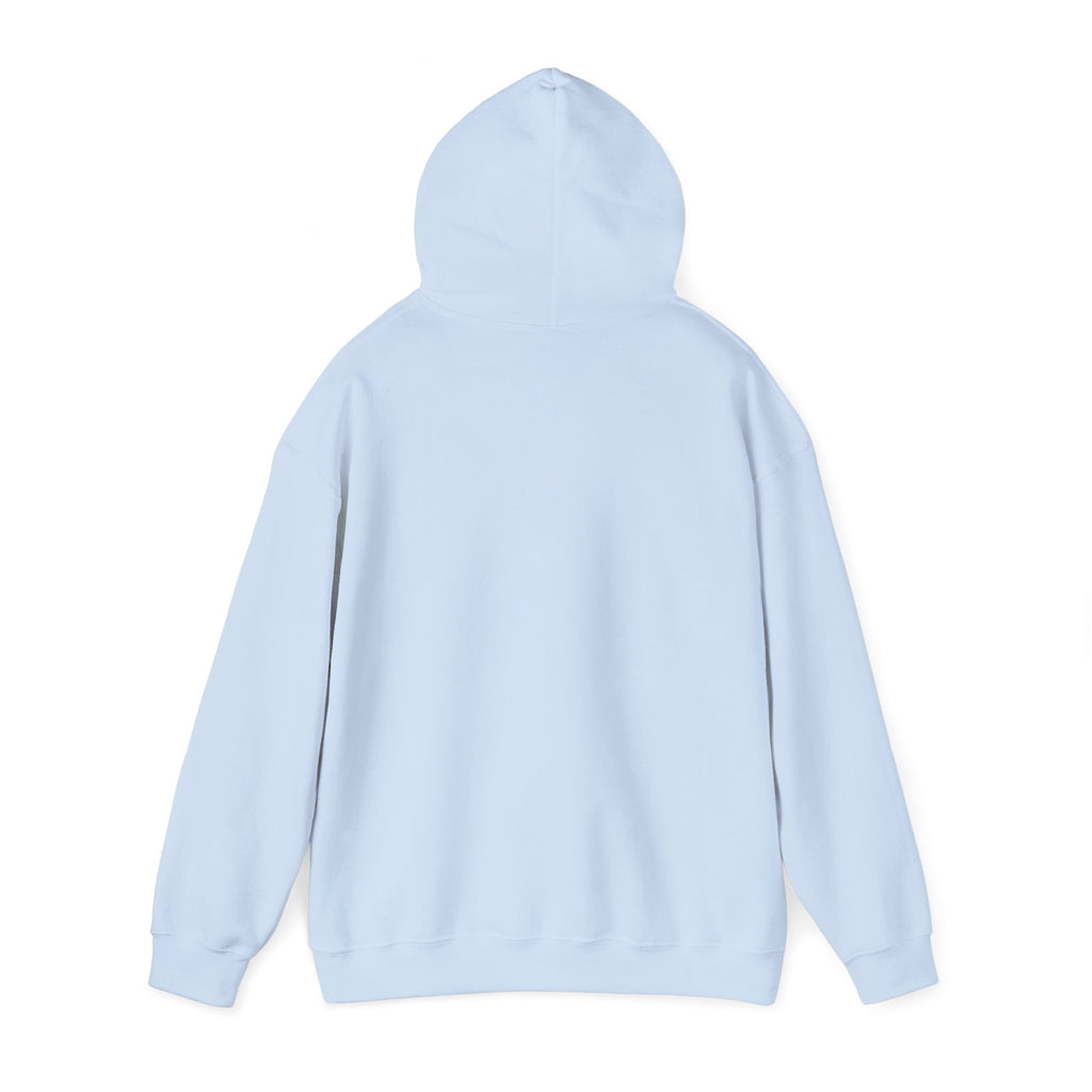 Dove Cloud Hoodie with Jesus Car, John 3:16, Religious Sweatshirt, Christian Clothing, Christian Gift, Cozy Unisex Hoodie