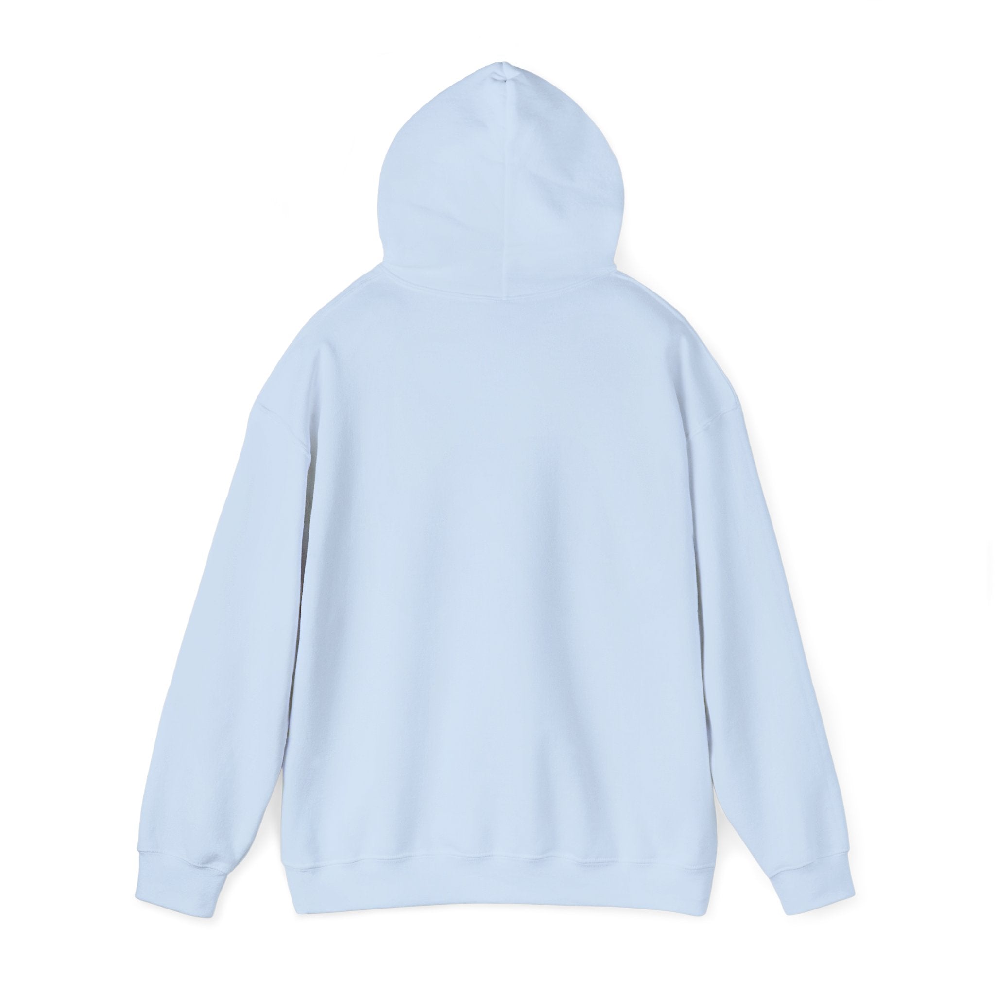 Dove Cloud Hoodie with Jesus Car, John 3:16, Religious Sweatshirt, Christian Clothing, Christian Gift, Cozy Unisex Hoodie