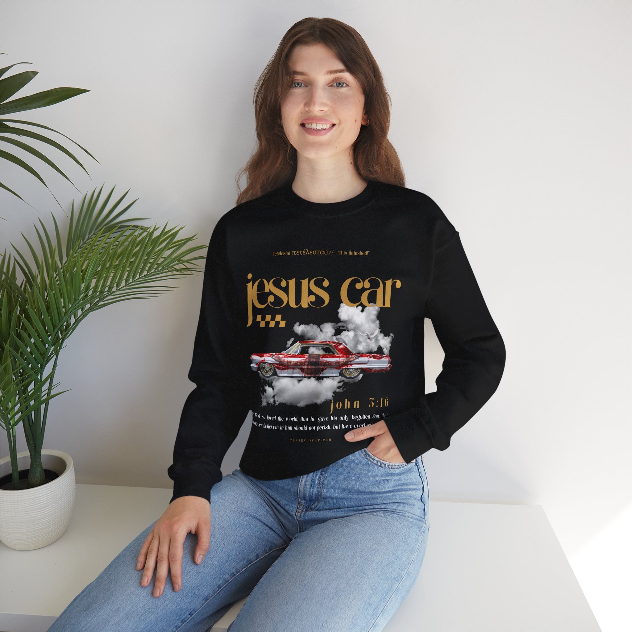 Dove Cloud Crewneck Sweatshirt, Jesus Car, John 3:16, Christian Clothing, Christian Gift, Casual Wear, Faith-Based Apparel