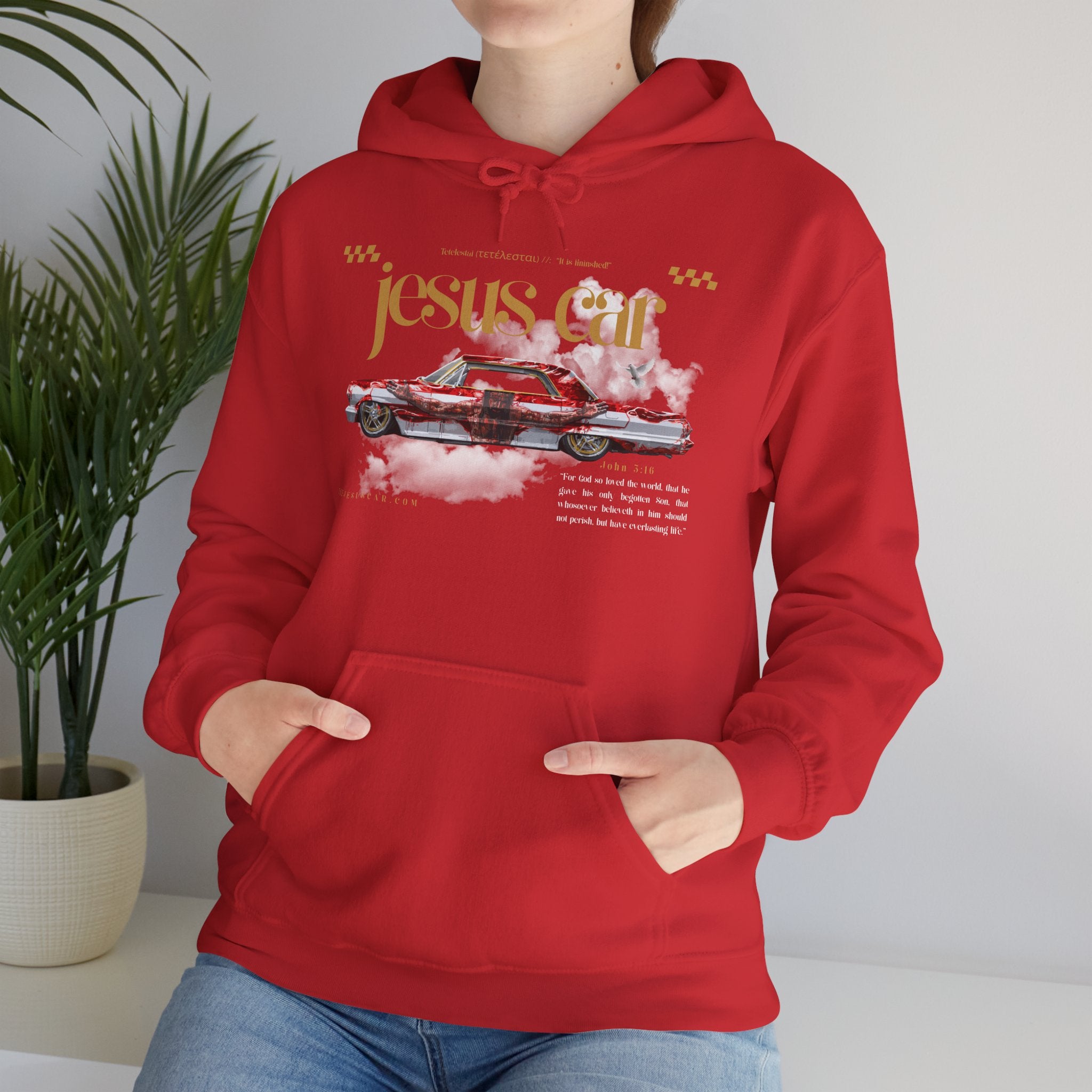 Dove Cloud Hoodie with Jesus Car, John 3:16, Religious Sweatshirt, Christian Clothing, Christian Gift, Cozy Unisex Hoodie