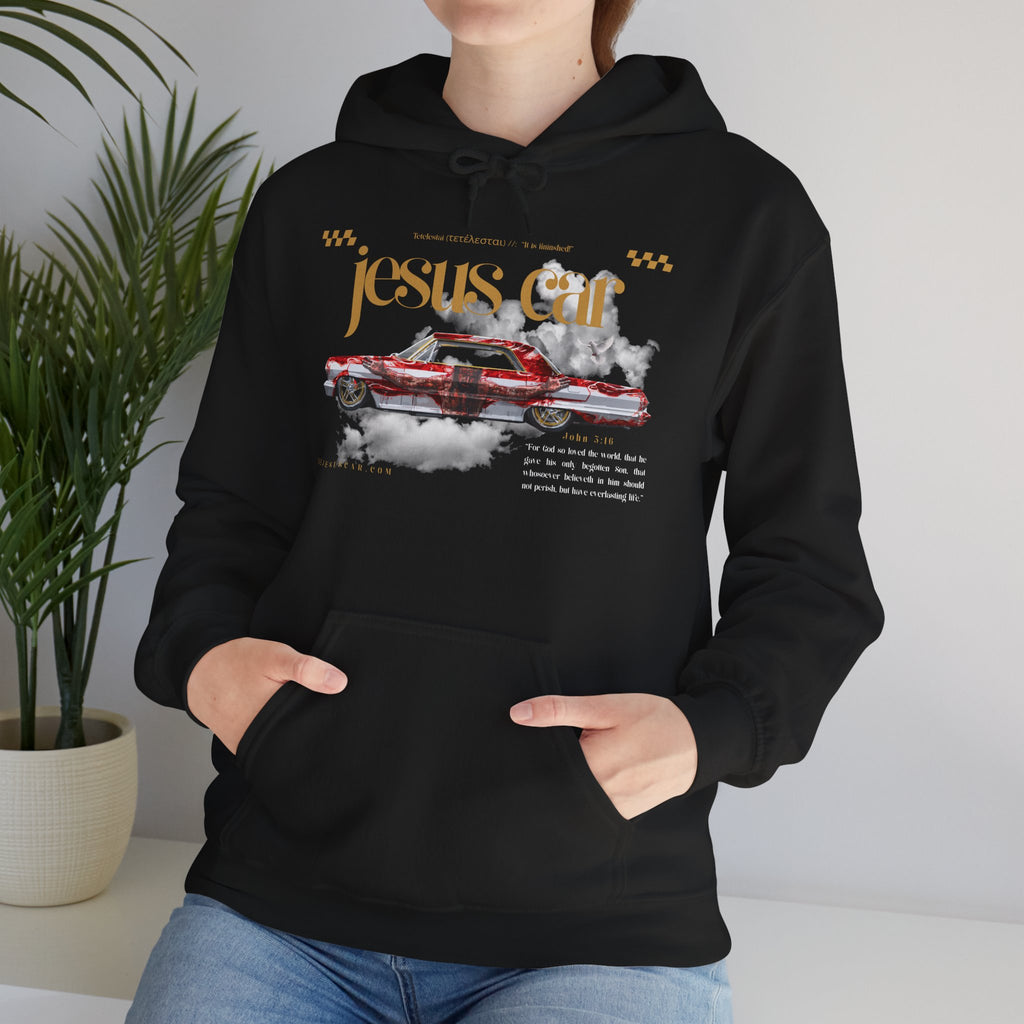 Dove Cloud Hoodie with Jesus Car, John 3:16, Religious Sweatshirt, Christian Clothing, Christian Gift, Cozy Unisex Hoodie